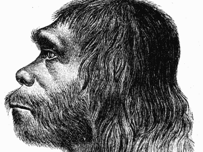 Wie lebten und wohnten die Neandertaler?