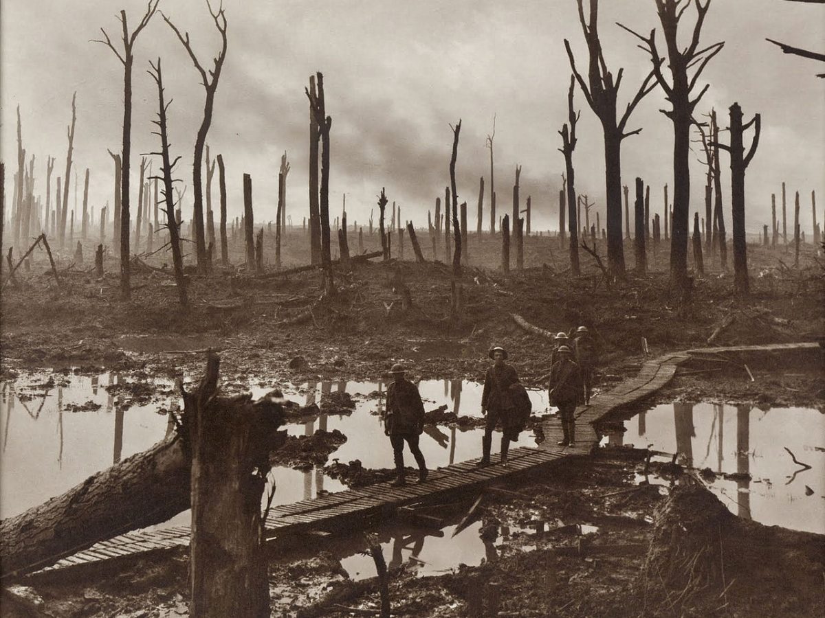 War der Erste Weltkrieg für Deutschland ein Verteidigungskrieg?